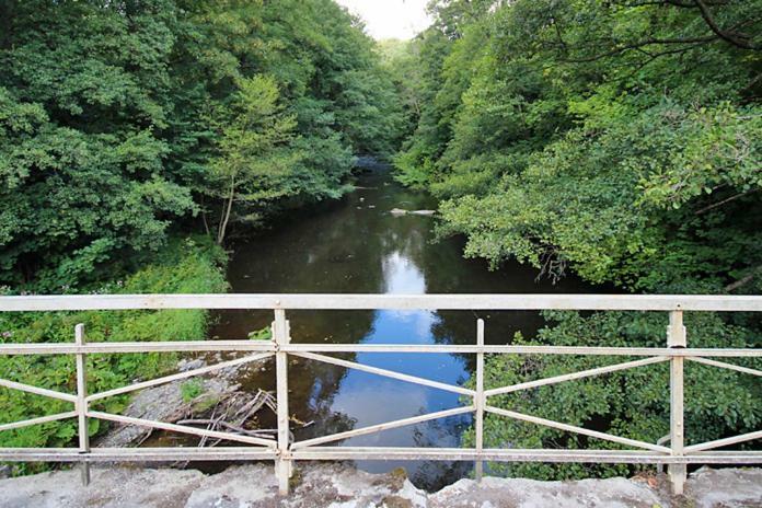 Ferienwohnungen Im Harz Altenbrak Luaran gambar